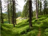 Lago Scin - Rifugio Faloria